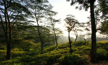 Special Tour Package  Hill Country & Beach Escape